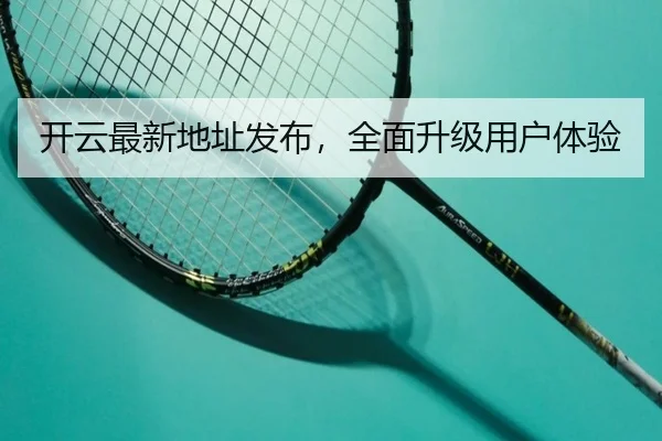 开云最新地址发布，全面升级用户体验