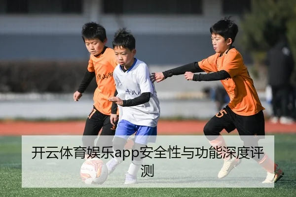 开云体育娱乐app安全性与功能深度评测