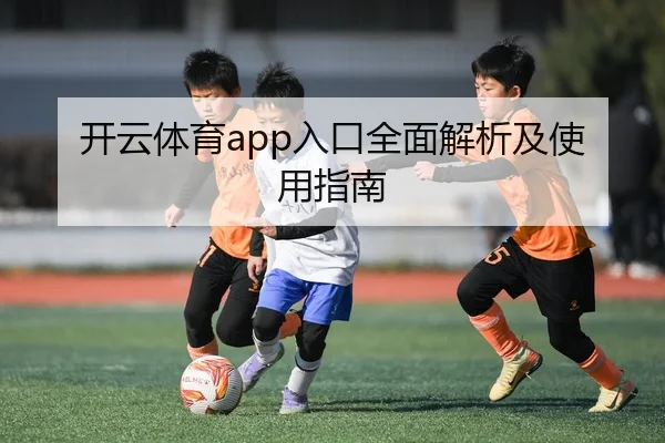 开云体育app入口全面解析及使用指南