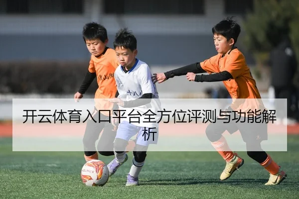 开云体育入口平台全方位评测与功能解析